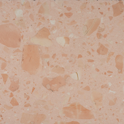 REG 5170 Rosa Marinara – Fondo Rosa